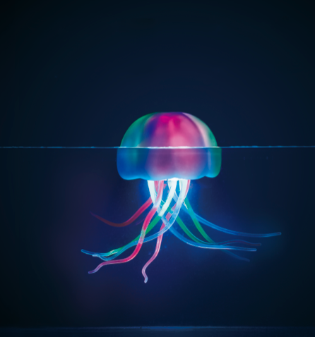 Floating LED Jellyfish